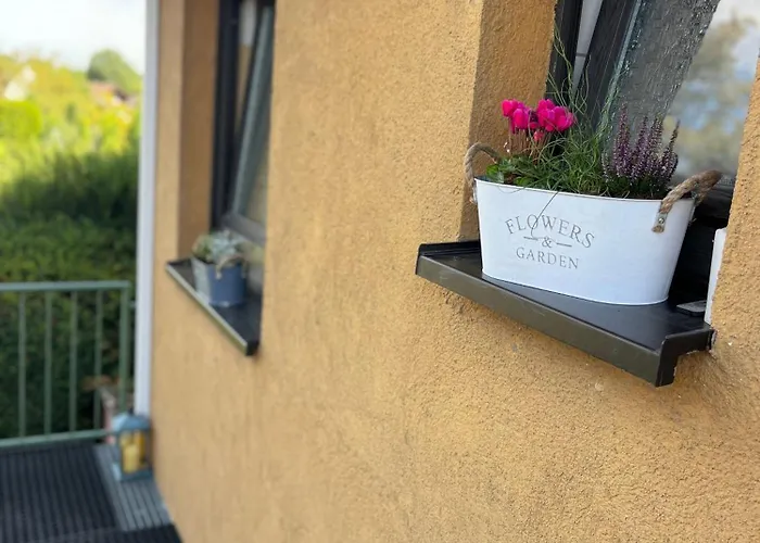 Naehe Mainz- Wohnen Umgeben Von Weinbergen *